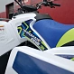 Квадроцикл PROMAX RENEGADE 300